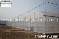 Hot Selling Multi-span Agriculture Commercial Greenhouse