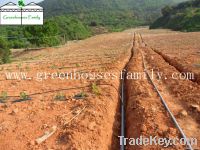 Water-saving Greenhouse Drip Irrigation System