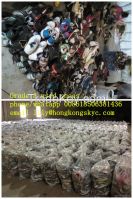 Wholesale Used Shoes