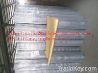 Electro galvanized welded wire mesh