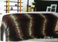 PV  blanket