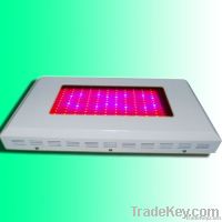 hit high power led grow light 600w