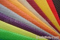 Spunbond Non woven Fabric
