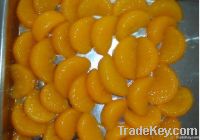 Canned Mandarin Oranges in Light Syrup