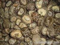 Dehydrated mushroom
