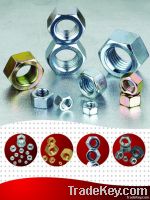 Hex Nuts