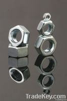 DIN934 Hex Nuts