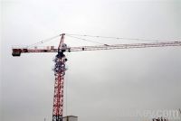 QTZ50 Tower Crane (5010)