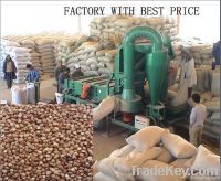 https://cn.tradekey.com/product_view/2012-New-Crop-Buckwheat-3900046.html