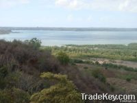 375.06 acres of breathtaking land touching Kilifi Creek!