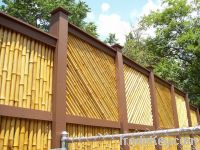 Bamboo Fence