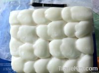 frozen cuttlefish