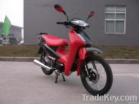 Motorcycle, Cub, Pocket Bike