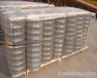 stainless steel welded wire mesh