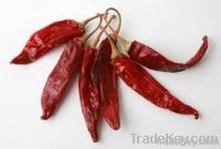 Dry Red Chilli