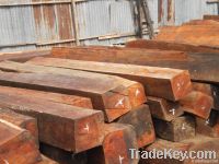 Red Mahogany