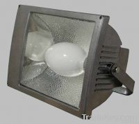 outdoor induction flood light