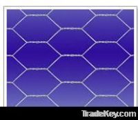 Hexagonal wire netting