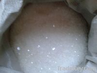 Polyester Resin