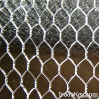 Hexagonal wire netting