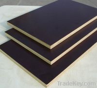 Film Faced Plywood