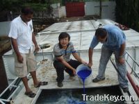 Containerized (Integrated) Sewage Treatment Plant