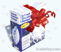 Internet Download Manager