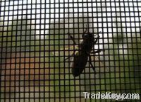 Window Screen