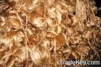 Raw Jute