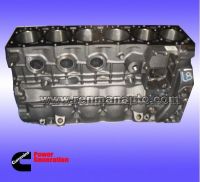 Cylinder Block C4946586