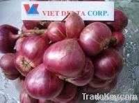 FRESH RED ONION