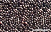 Black Pepper