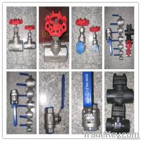 1/8" - 2" valves ball valve globe valve thread valve