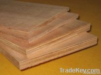 plywood