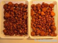 Cattle Gallstones/Ox Gallstones