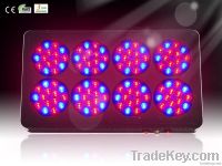 Apollo 8 LED grow lights for Hydroponics plants