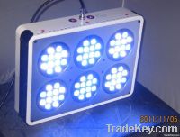 Apollo 6 Modular led aquarium light for marine fish & coral reef grow