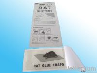 mouse glue traps