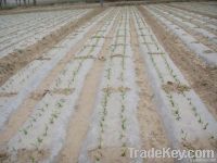 white Agricultural mulch film on roll