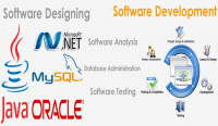 Software Development Services