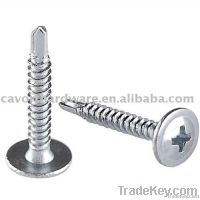 Wafer  head drilling screws
