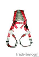 Full Body Harness with shock Absorbing Lanyards