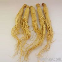 Ginseng Extract