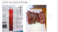 Fresh Yellowfin Tuna For Shasimi