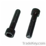 Allen Screw