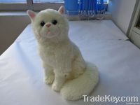 Plush Cat In Different Size And Color