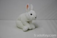 plush bunnies toy