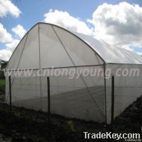 Economical Greenhouse