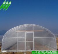 Agricultural Single Span Vegetable Greenhouse