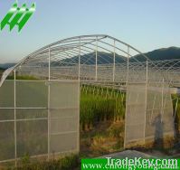 Galvanised Steel Tunnel Greenhouse